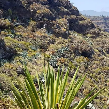 Lägenhet Wish Were Here