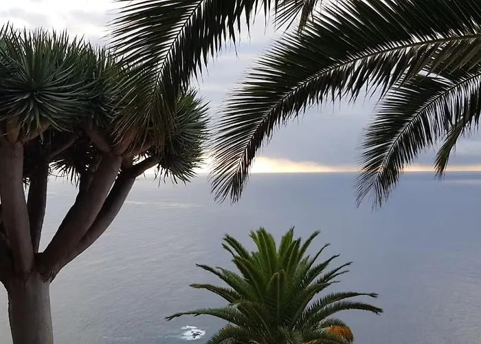 Apartment Wish Were Here