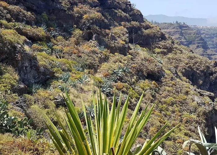 Apartment Wish Were Here