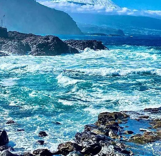 Apartament Wish Were Here *