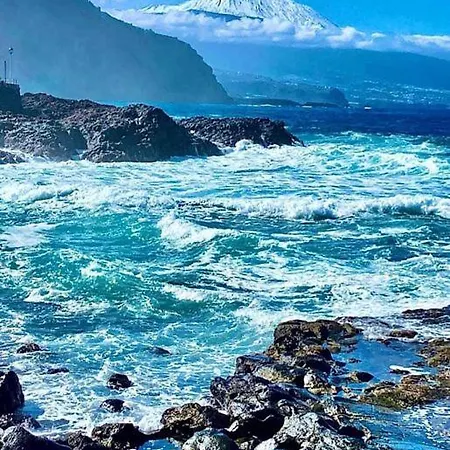 Apartment Wish Were Here *